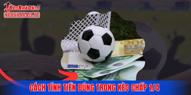 Cách tính tiền đúng trong kèo chấp 1/4