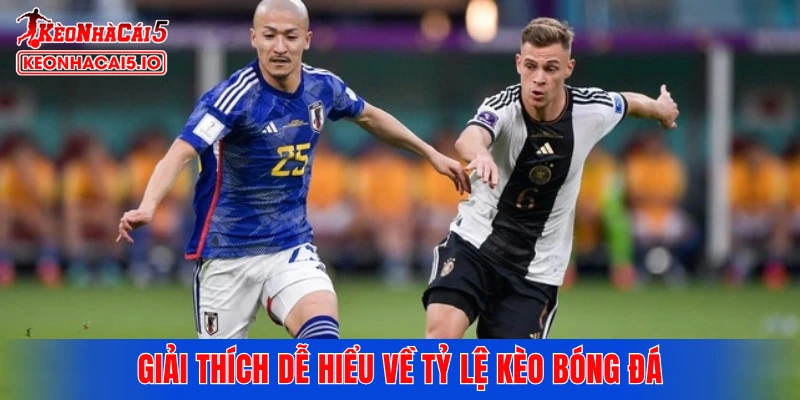 Giải thích dễ hiểu về tỷ lệ kèo bóng đá