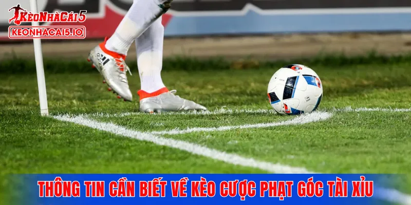 Những thông tin cần biết về kèo cược phạt góc tài xỉu